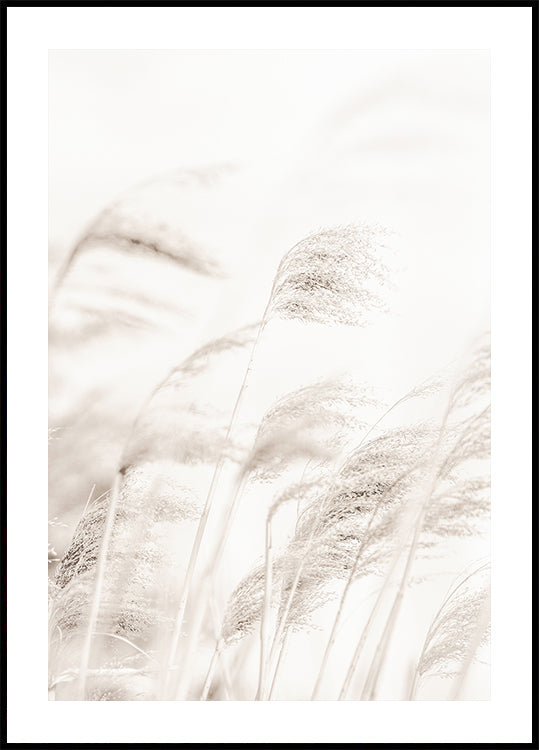 Manifesto REED