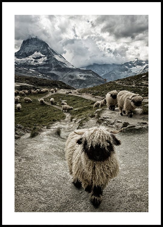 Poster Fuori dai piedi