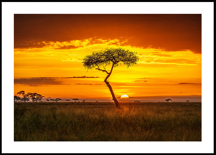 Manifesto dell’Africa primordiale