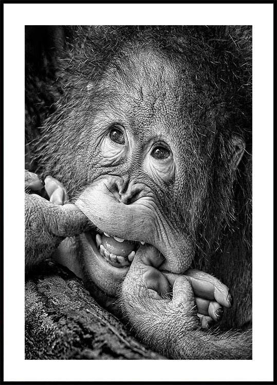 Grande sorriso...per favore poster