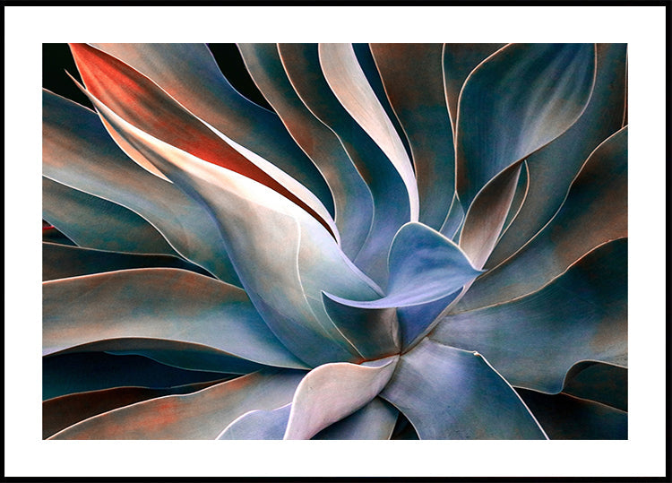 I colori nelle foglie Poster