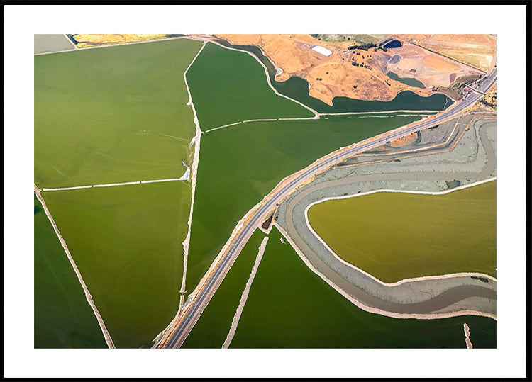 Manifesto dei confini