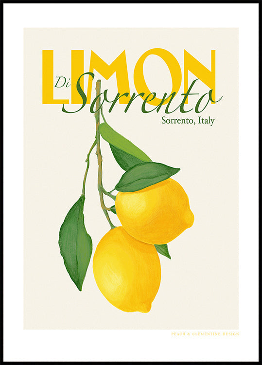 Pandclimondisorrento Copia poster