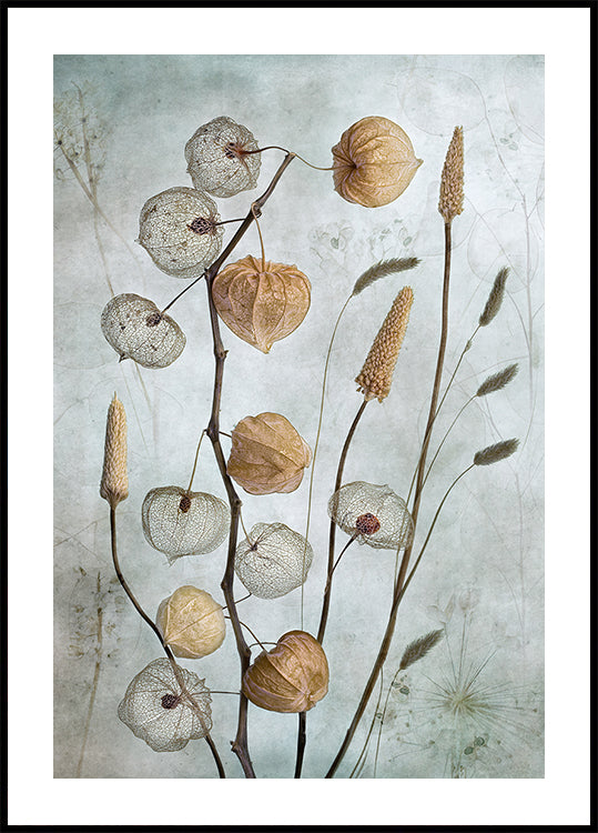 Manifesto delle lanterne