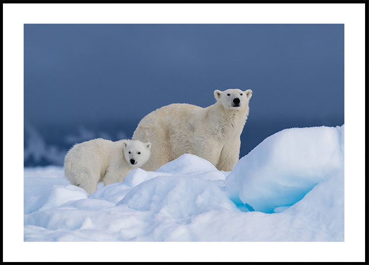 Poster di mamma e bambino