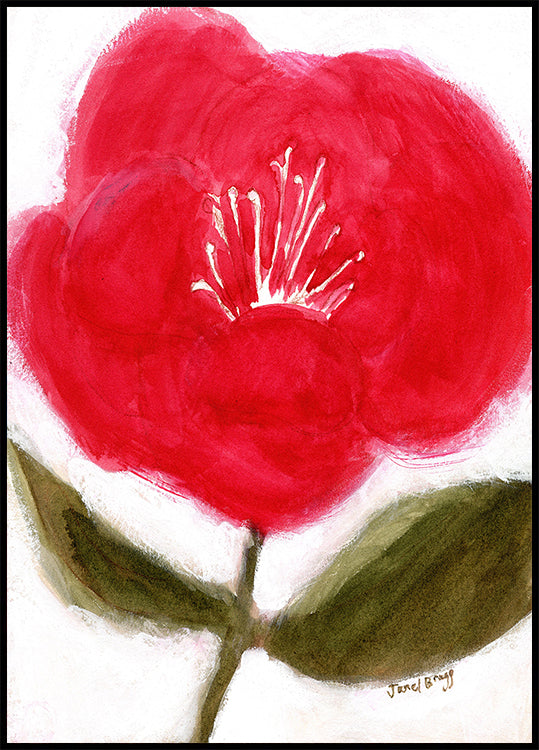 Floreale in rosso per il poster Cierra