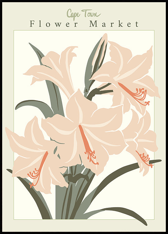 Poster di Amaryllis della città di Flower Market Cap