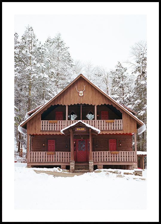 Poster Snow XI nello stato di New York