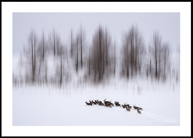 Manifesto dell'inverno a Hokkaido