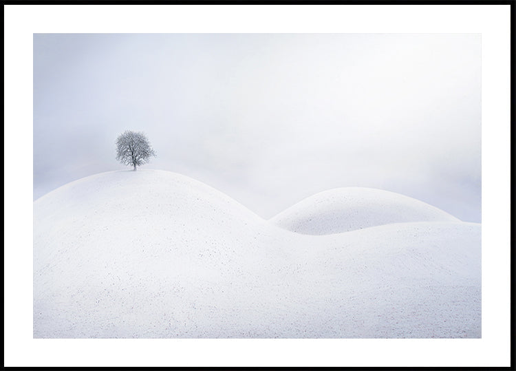 Lone Tree on Winter Dunes Plakat
