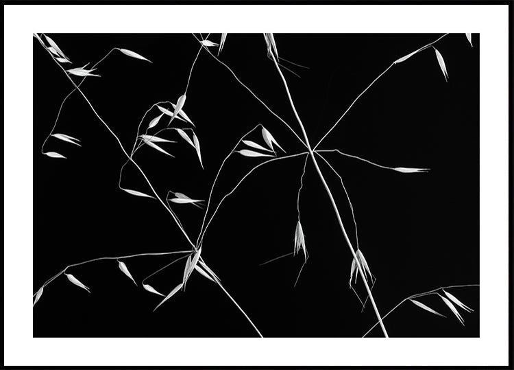 Linee incrociate