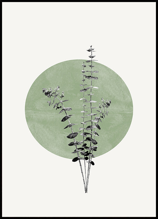 Poster L'eco della natura