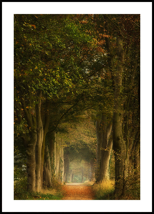 Manifesto del sognatore ad occhi aperti