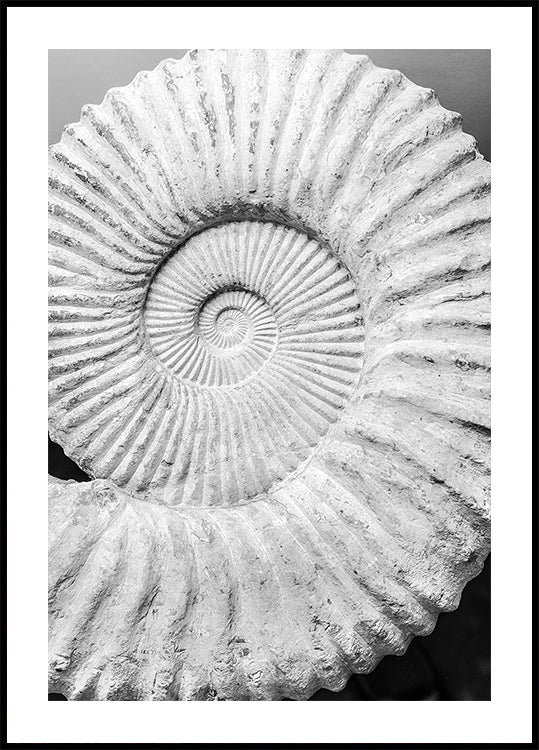 Antichi sogni a spirale
