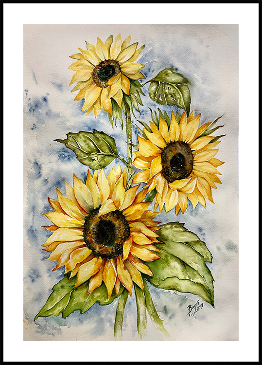 Girasoli