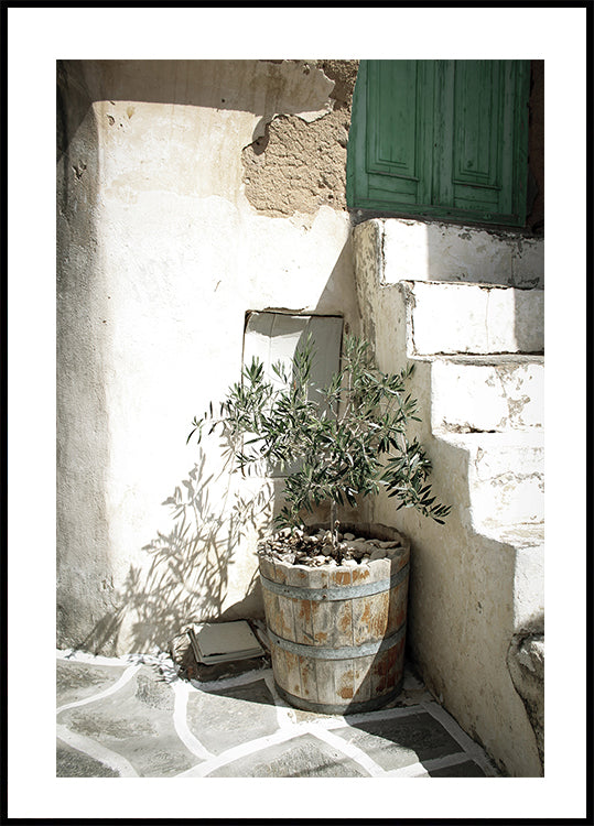 Poster di un ulivo affascinante in un ambiente rustico