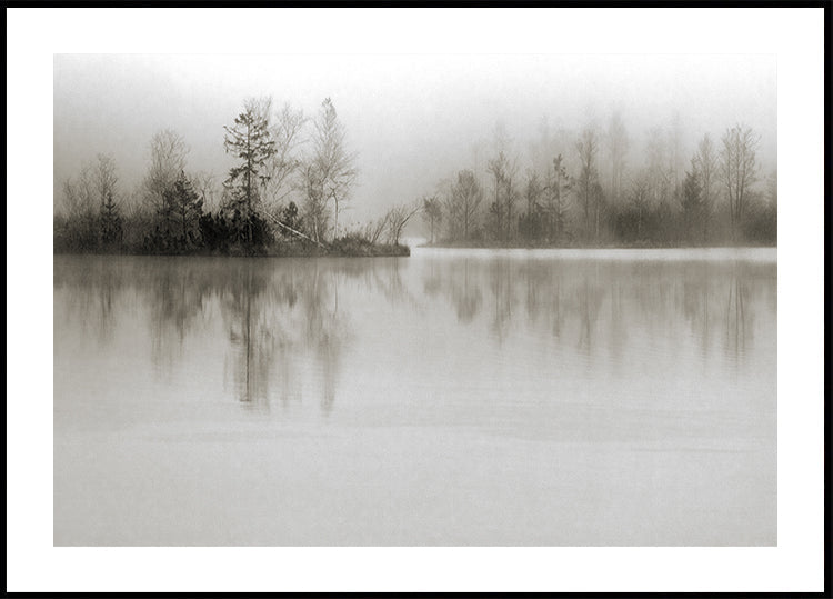 Dissoluzione