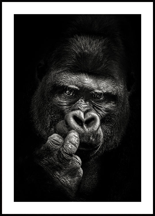 Manifesto dell'atteggiamento