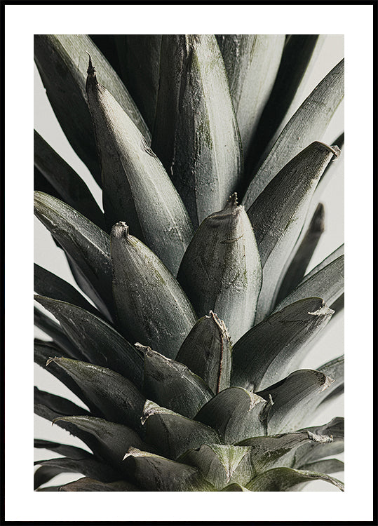 Poster da vicino di ananas
