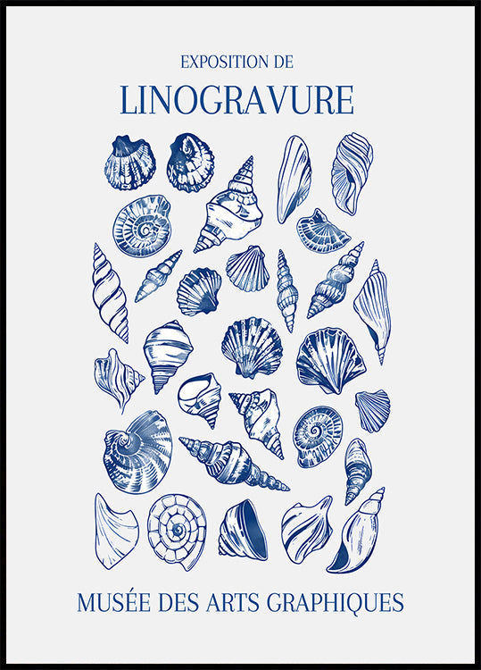 Mercatino dell'Arte delle Conchiglie di Lino