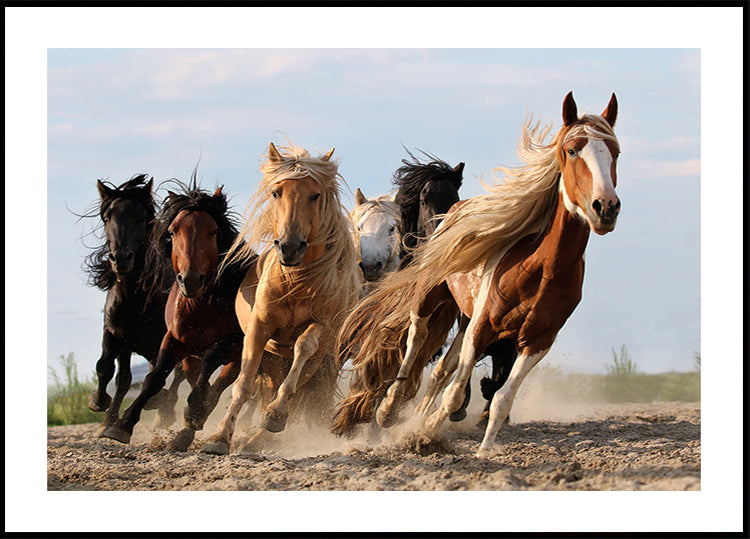 Poster dei sei fortunati