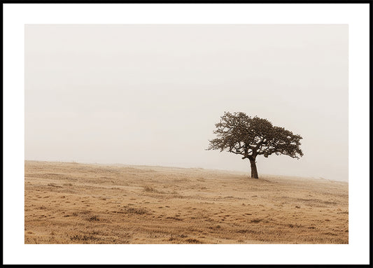 Poster di campo erboso autunnale e albero solitario