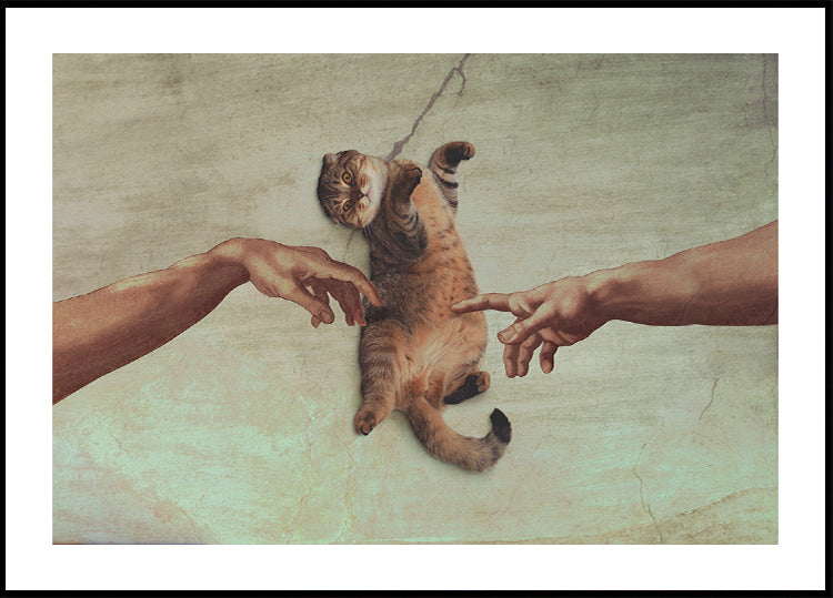 Il tocco del gattino