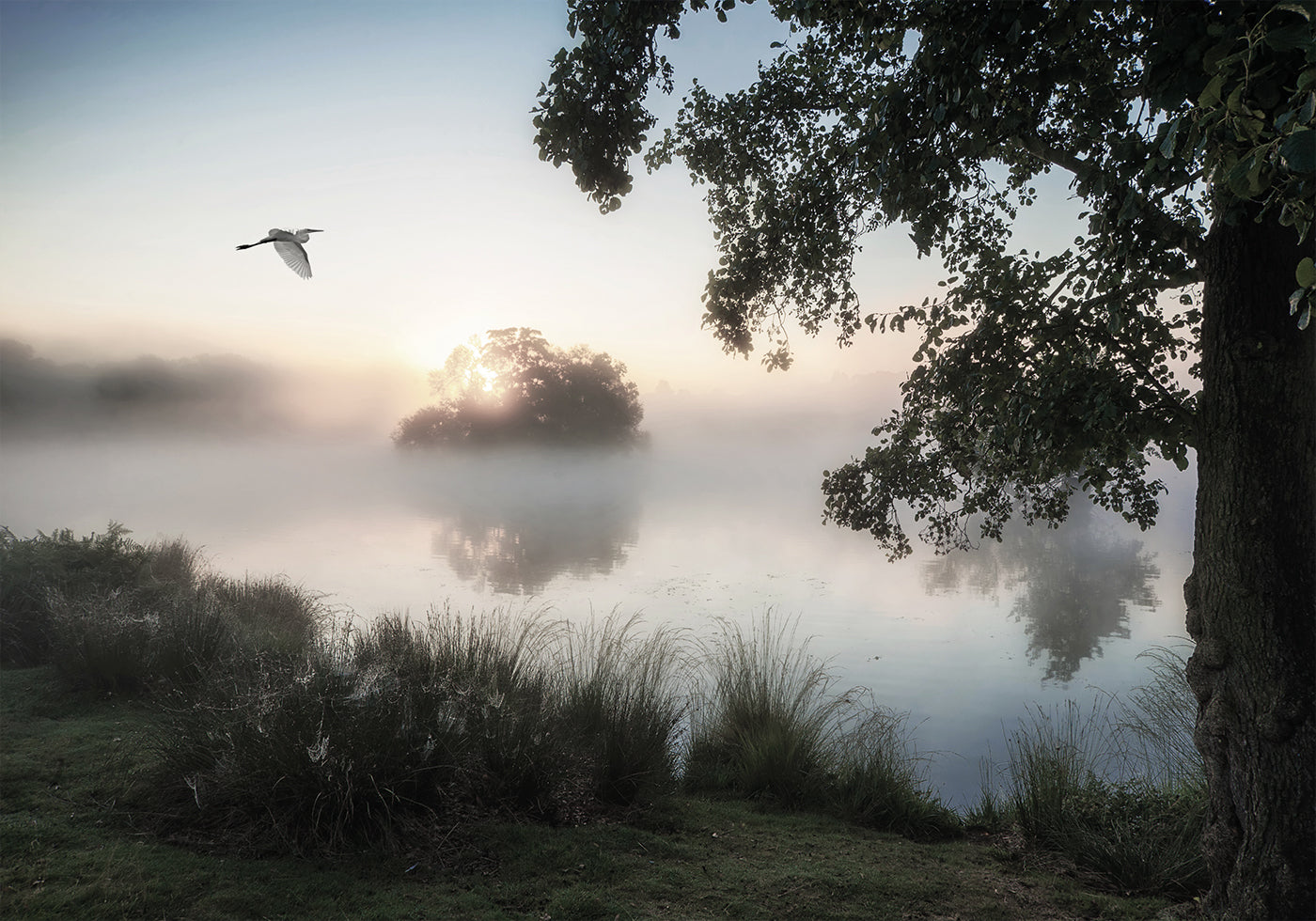 Heron Flying Over a Foggy Lake Plakat - Posterbox.dk