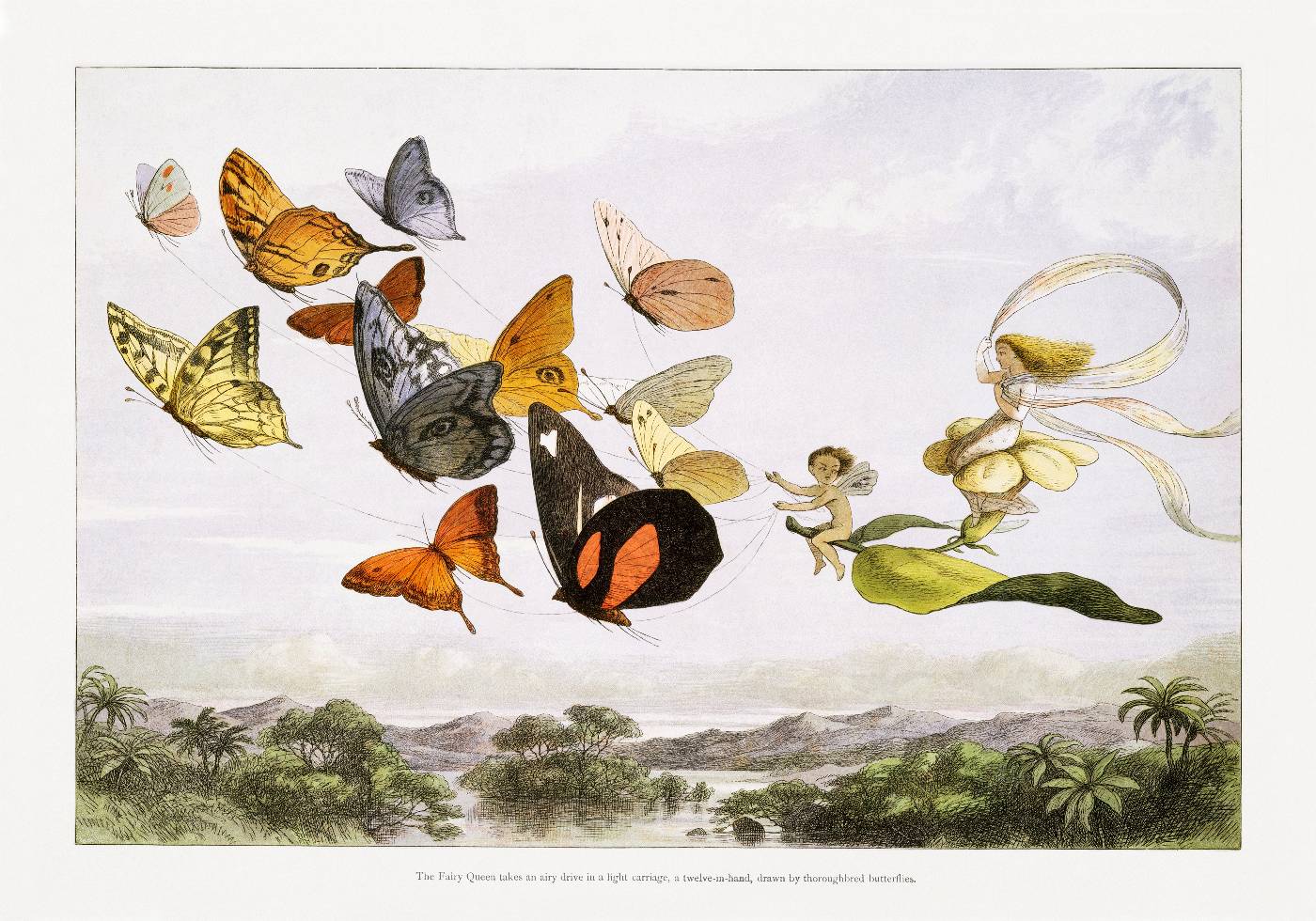 In Fairyland Butterflies By Richard Doyle Vintage Art Plakat - Posterbox.no