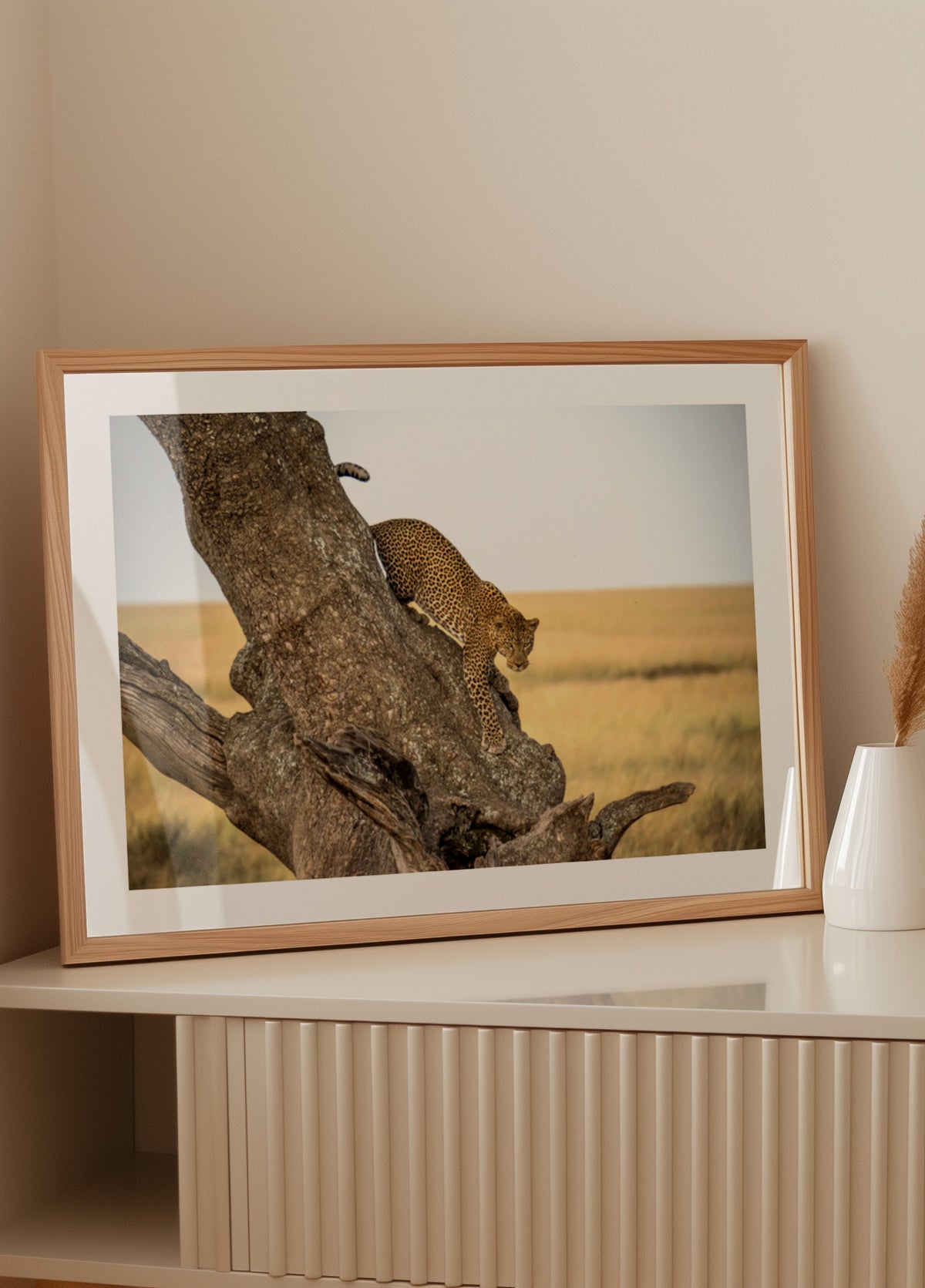 Albero discendente del leopardo