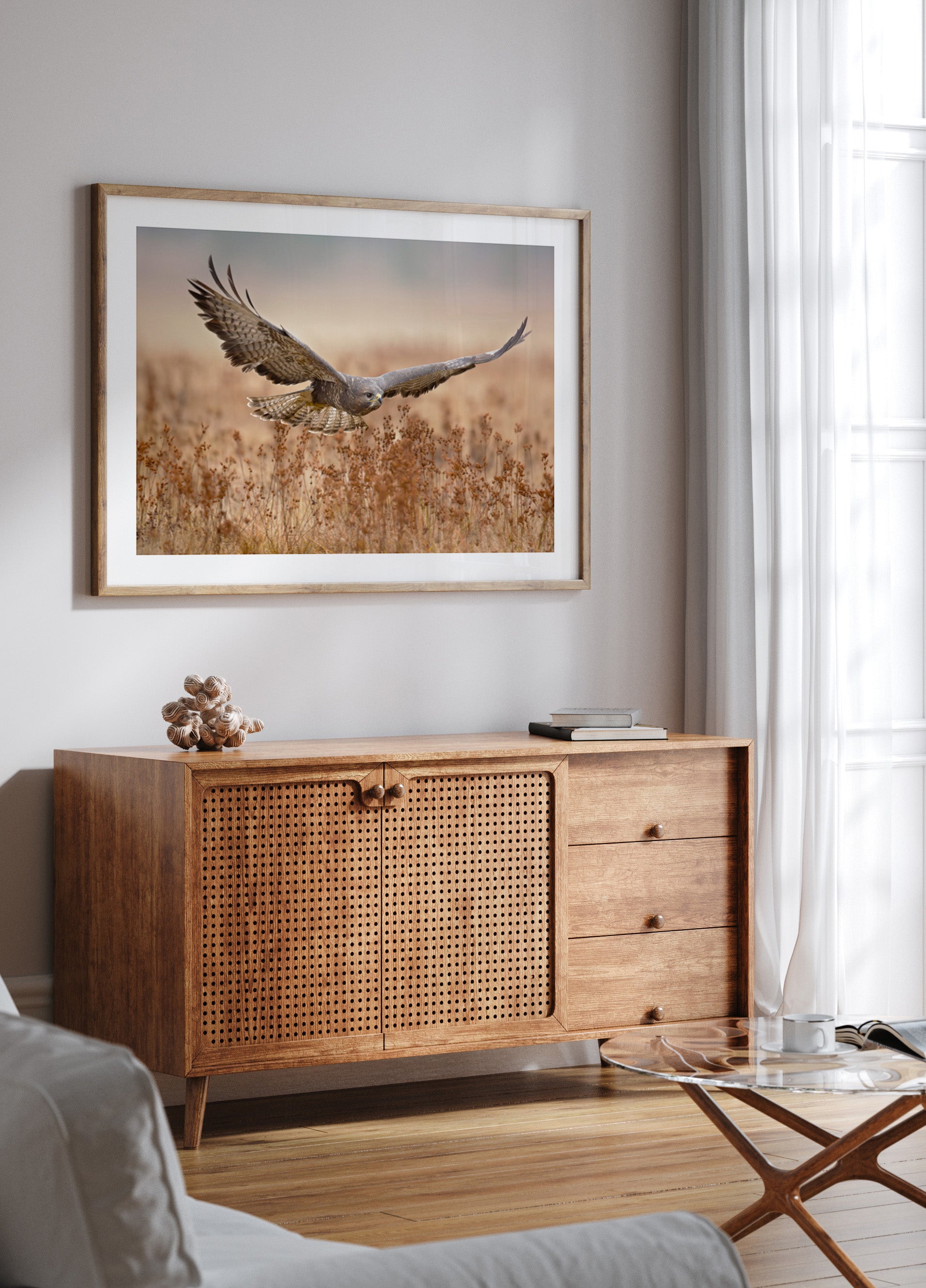 Falco maestoso in volo