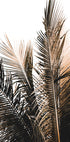 Palm Leaves No. 1 Plakat - Posterbox.dk