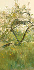 Peach Blossoms Villiers-le-Bel By Childe Hassam Plakat - Posterbox.dk