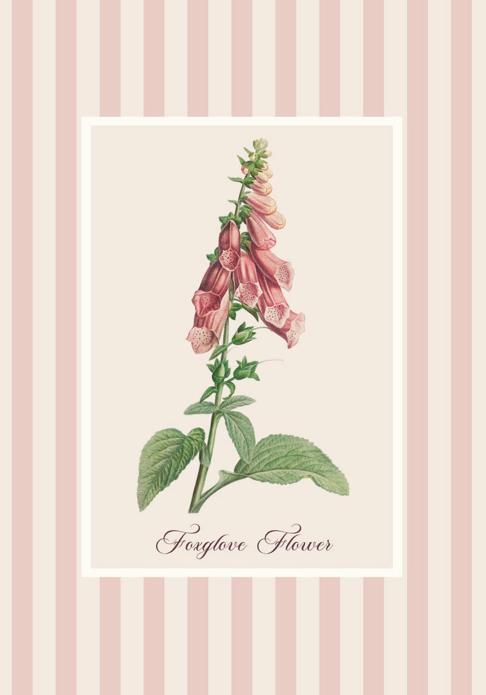 Poster di fiori di digitale rosa