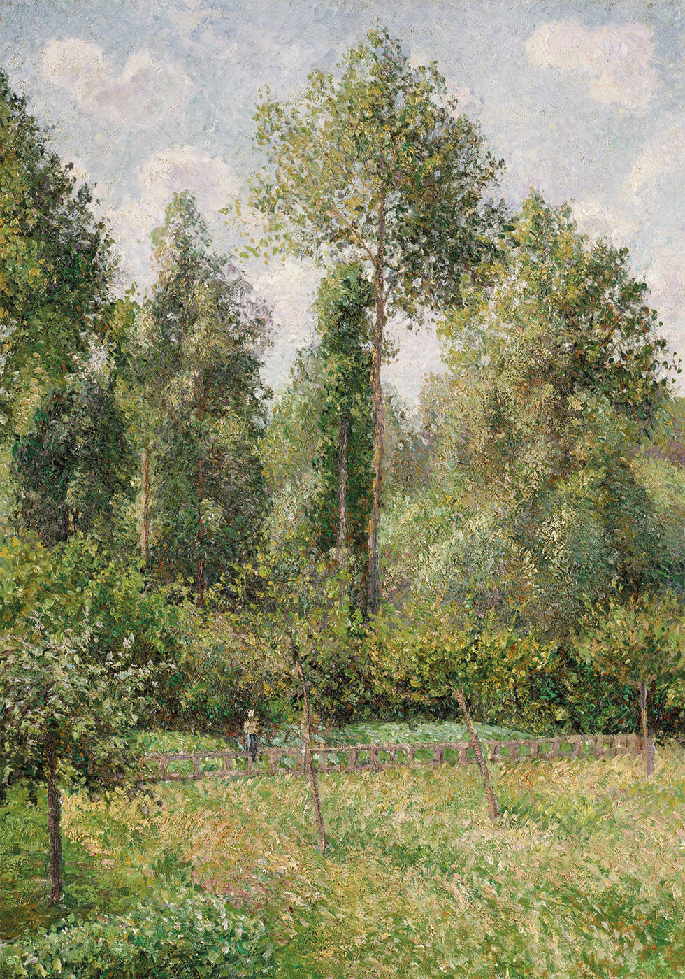 Pioppi Éragny di Camille Pissarro Poster 