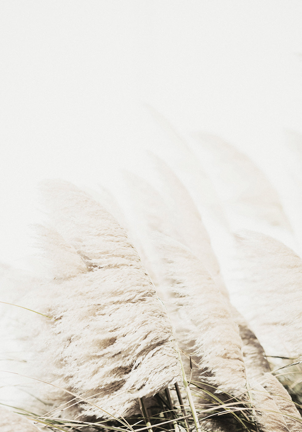 Reed In Wind Plakat - Posterbox.dk