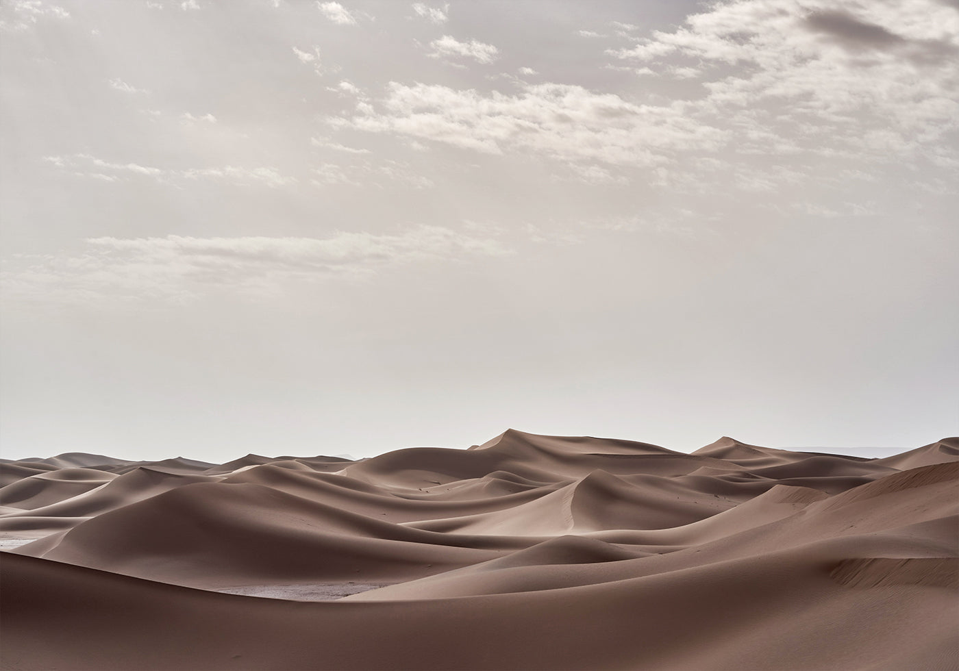 Sahara Desert Plakat - Posterbox.dk