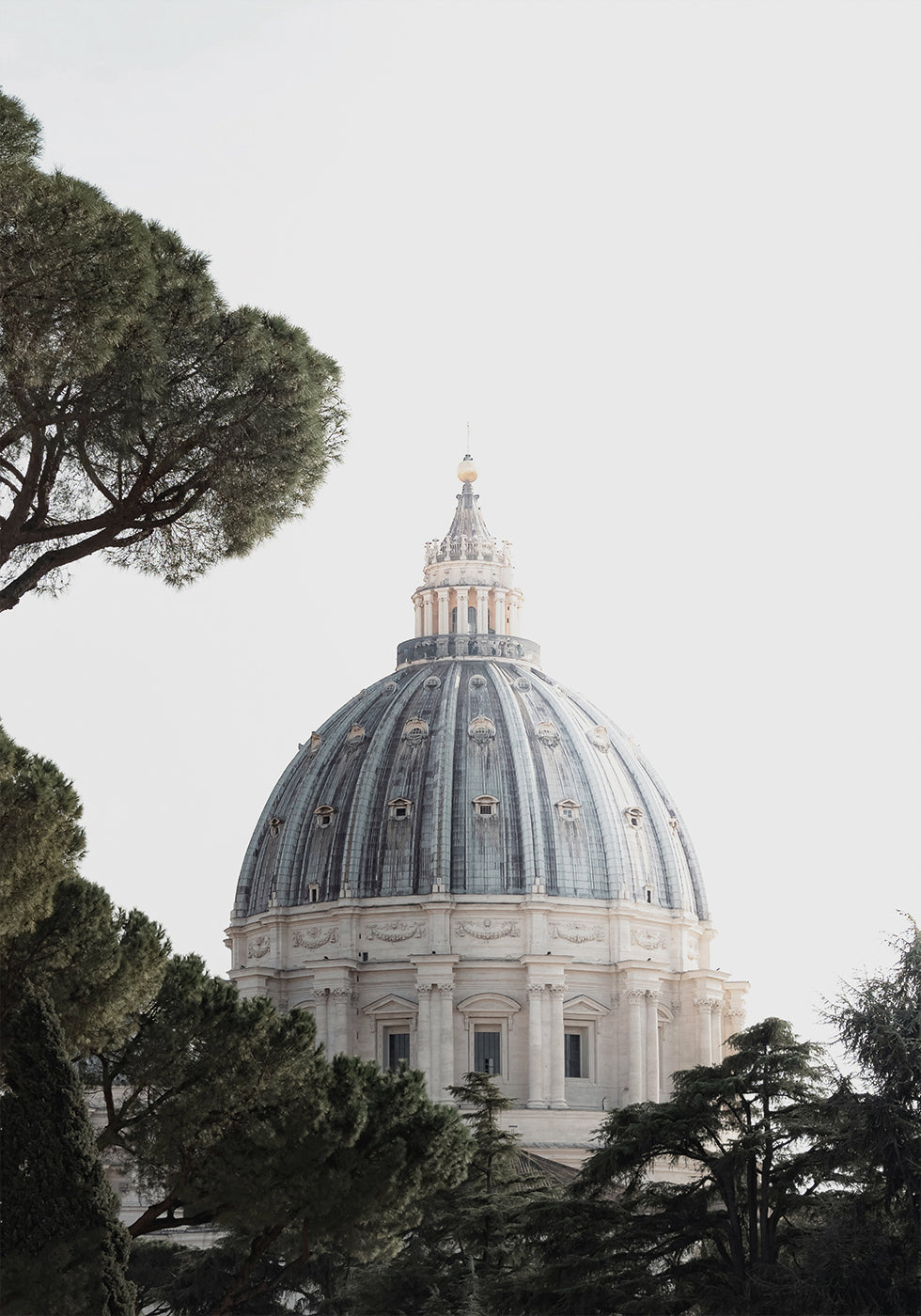 Manifesto della cupola della Basilica di San Pietro