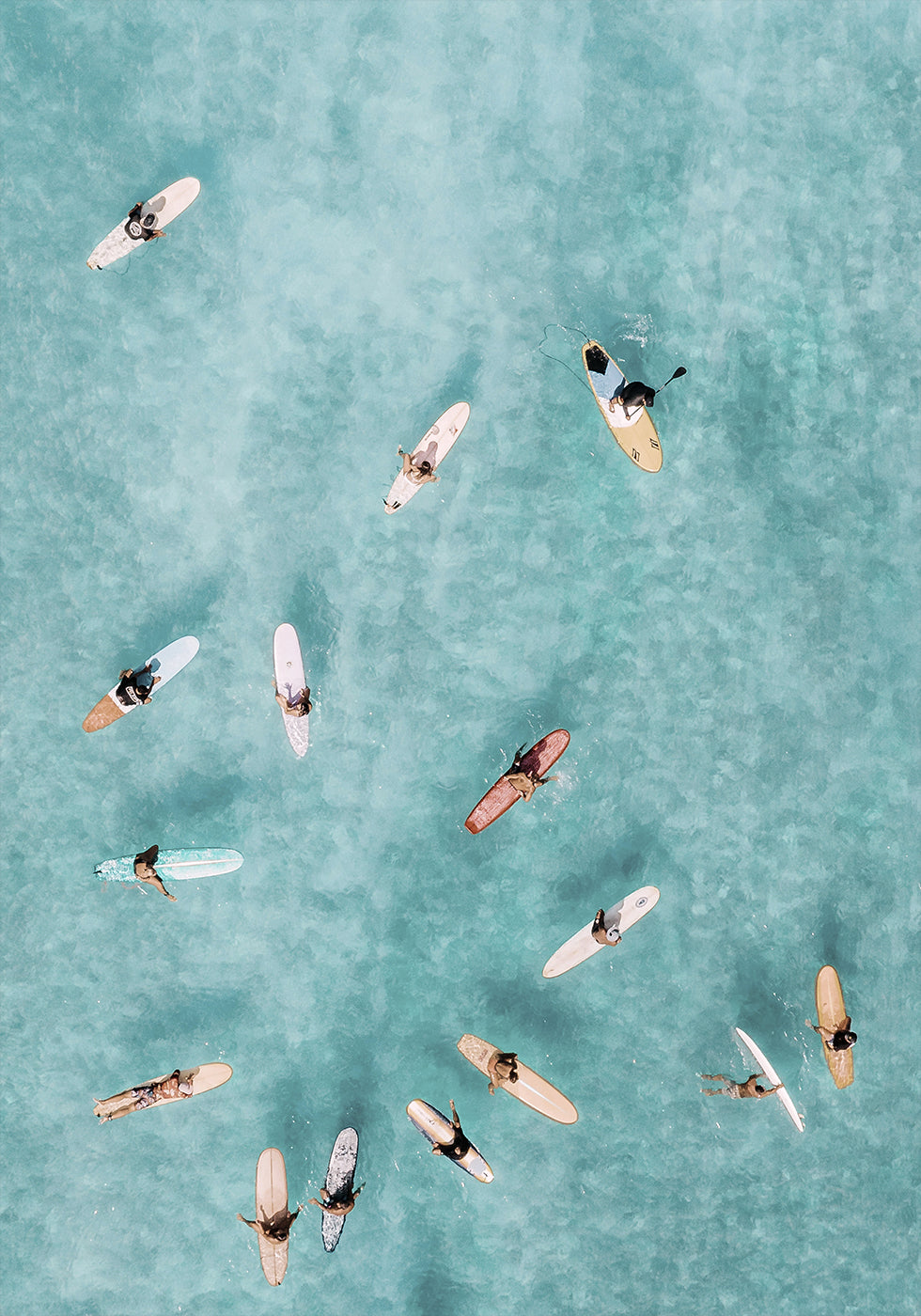 Poster Zen