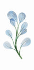 Watercolor Branch Plakat - Posterbox.dk