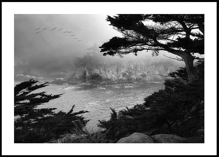 Foggy Morning Central Coast (NEW) - Posterbox