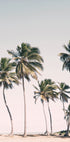 Blush Tropical Trees (NEW) - Posterbox