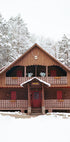 Upstate New York Snow XI Plakat - Posterbox