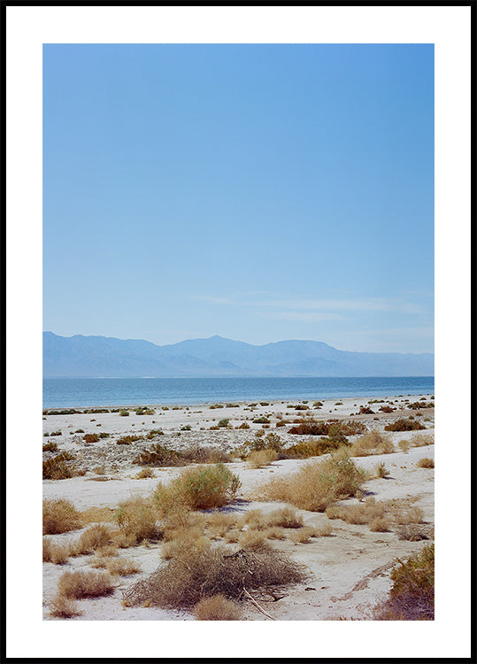Bombay Beach Spring II (NEW) - Posterbox