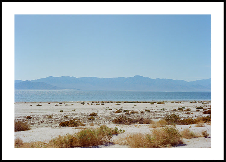 Bombay Beach Spring (NEW) - Posterbox