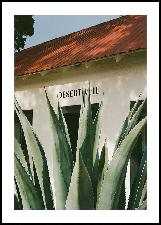 Desert Veil (NEW) - Posterbox