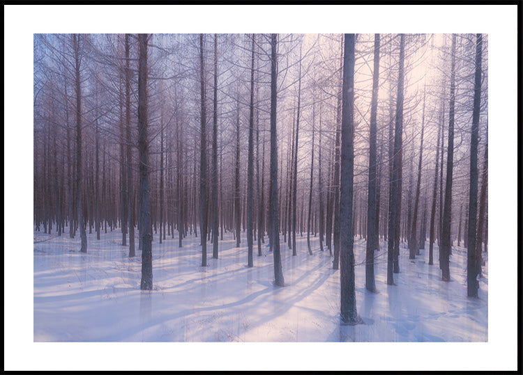 Silent Winter Symphony Plakat - Posterbox