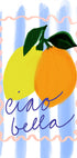 una vivace illustrazione di due limoni e un'arancia, con la frase "ciao bella" scritta in corsivo sotto di essi.