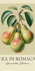 Pera Di Romagna (NEW) - Posterbox