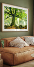 Ponthus' Beech Plakat - Posterbox
